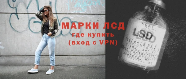 шишки Краснослободск