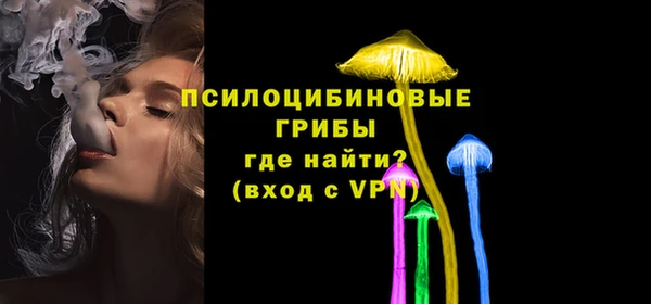 шишки Краснослободск