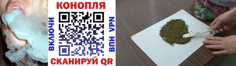 Конопля сатива Купить закладки Барабинск